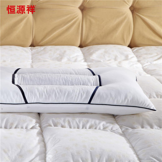 恒源祥家纺菊花枕 TZT1003 商品图4