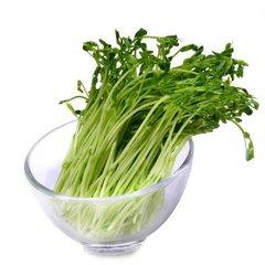 101豌豆苗  约250克