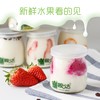 鞍达纯天然酸奶（限门店自提） 商品缩略图1