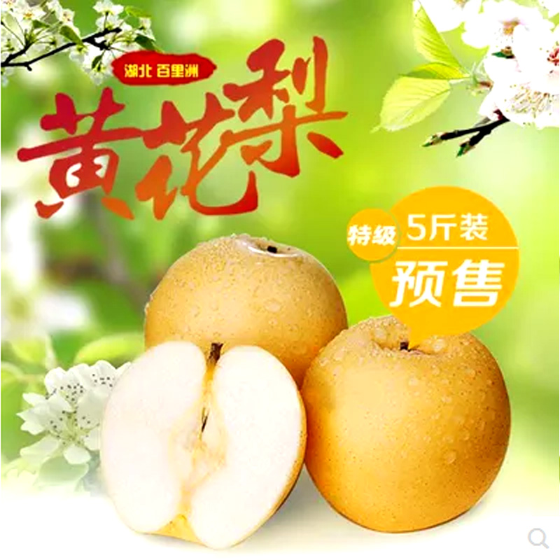 黄花梨 湖北特产正宗沙梨砂梨新鲜现摘水果梨子5斤