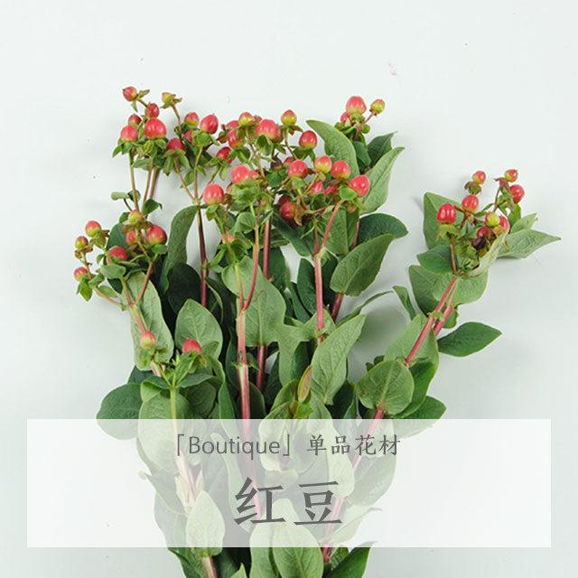 ʻ춹-仨-10֦-