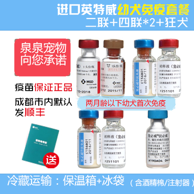 进口英特威二联四联疫苗两月以下幼犬免疫套餐宠物