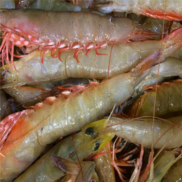 天然麻虾150g/份 5元秒杀不含运费
