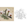 工笔花鸟白描底稿-王庆升《蝶舞》-斗方小品册页-QB20 商品缩略图0