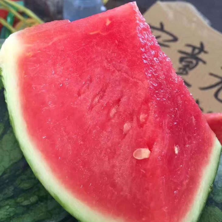 蜜童西瓜 甜爽多汁,清凉止渴【6个装】广西区包邮,72小时内发货