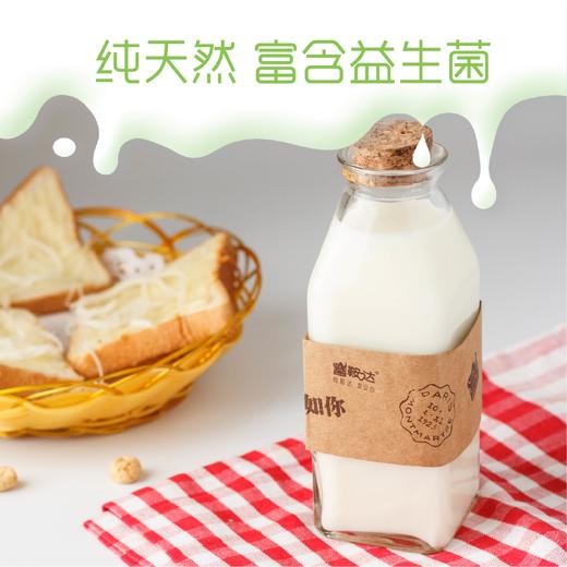 鞍达益生菌热奶（限门店自提） 商品图0
