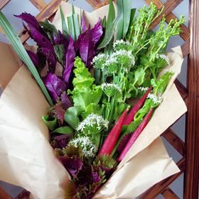 农园活动 | 为母亲献上一束有机花