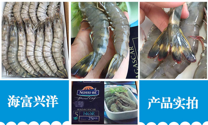 【已过核酸检测】马达加斯加海虎虾运费顺丰到付