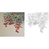 工笔花鸟白描底稿-孙锡之-荔枝-斗方小品册页-SX03 商品缩略图0
