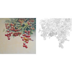 工笔花鸟白描底稿-孙锡之-荔枝-斗方小品册页-SX03