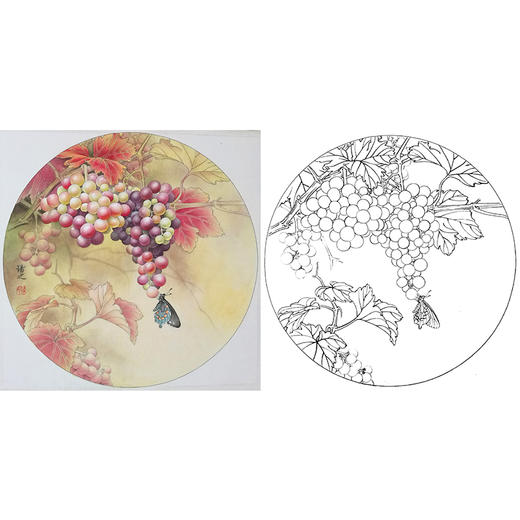 工笔花鸟白描底稿-孙锡之-葡萄蝴蝶小品-SX02 商品图0