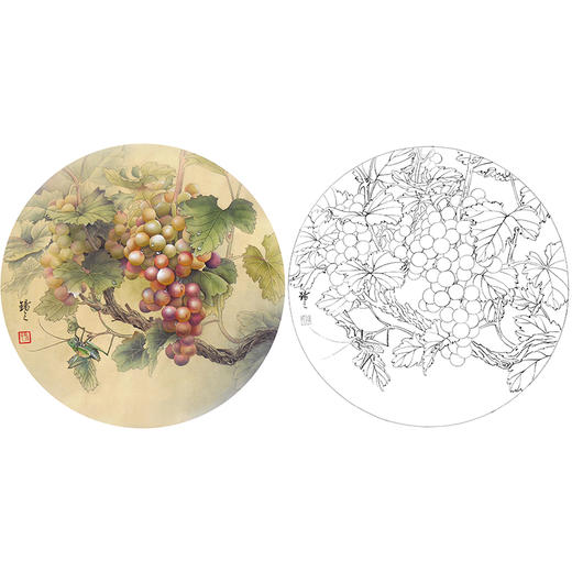 工笔花鸟白描底稿-孙锡之-葡萄蚂蚱蝈蝈草虫小品-SX04 商品图0