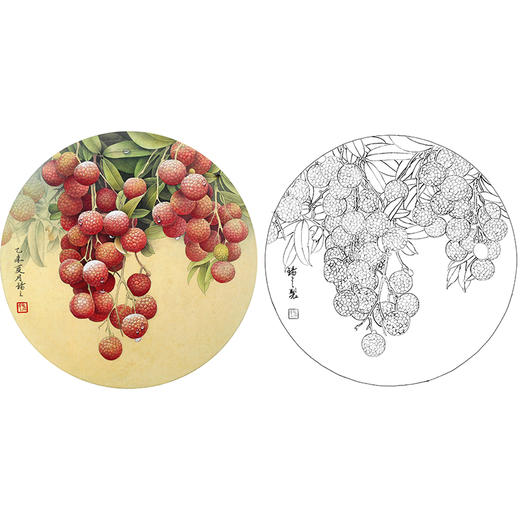 工笔花鸟白描底稿-孙锡之-荔枝小品-SX01 商品图0