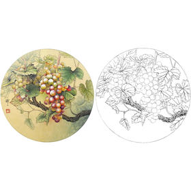 工笔花鸟白描底稿-孙锡之-葡萄小品-SX08
