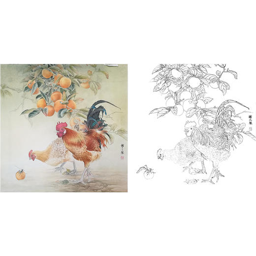 工笔动物白描底稿-孙锡之-公鸡-斗方小品册页-SX06 商品图0