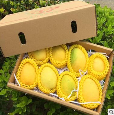 【芒果】圣德龙芒果新鲜水果小鸡芒果香甜香芒果5斤大果胜台农芒 商品图4