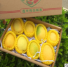 【芒果】圣德龙芒果新鲜水果小鸡芒果香甜香芒果5斤大果胜台农芒 商品缩略图1