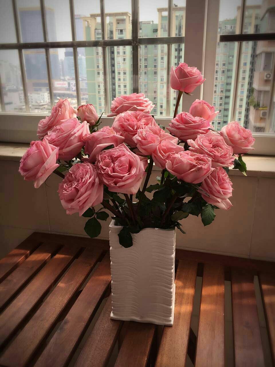 荔枝玫瑰