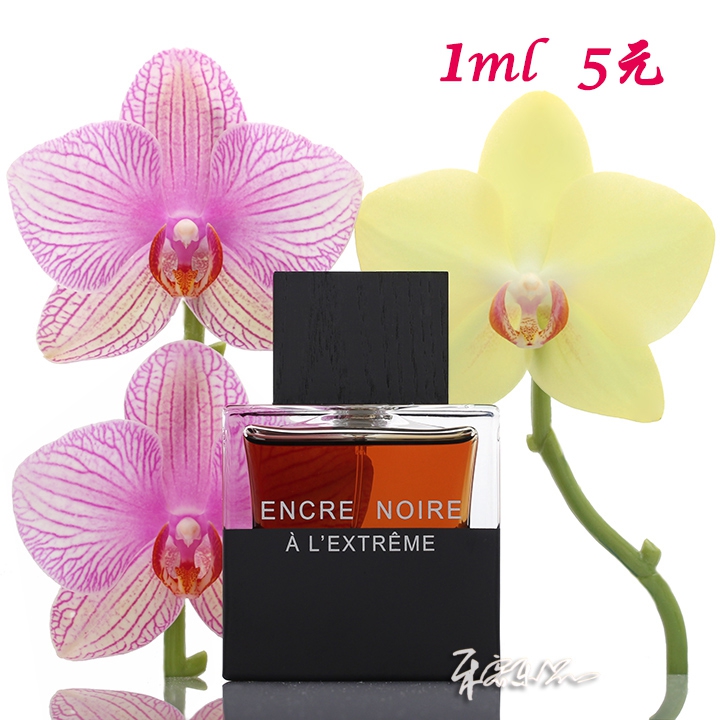 lalique encre noire a l extreme 莱俪 墨恋男士香水