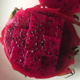 绿家自产 | 有机火龙果