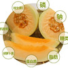 陕西阎良甜瓜（新鲜直采包甜） 商品缩略图4