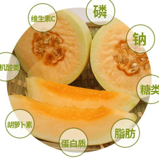 陕西阎良甜瓜（新鲜直采包甜） 商品图4