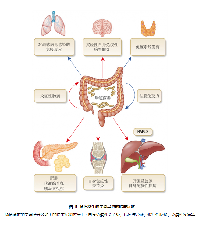 肠道疾病_肠道疾病有哪些