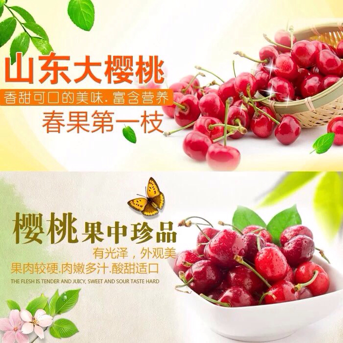 山东樱桃