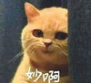 测试君君 商品缩略图0