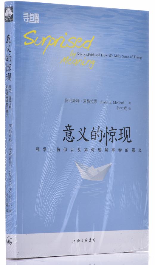 《意义的惊现》 商品图2