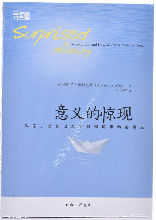 《意义的惊现》 商品图1