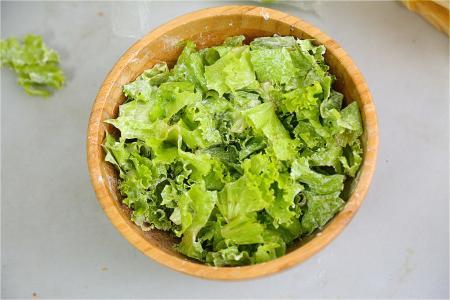 混合生菜基底（100g） 商品图0