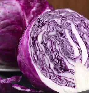 紫甘蓝(20g)