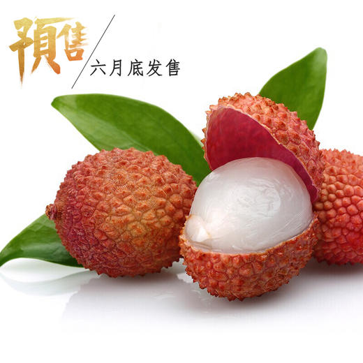 【预售】广东茂名荔枝——桂味 商品图0
