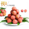 【预售】广东茂名荔枝——翠红 商品缩略图0
