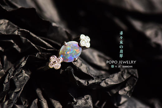 你是北极光，你来自我们美丽的地球 商品图4