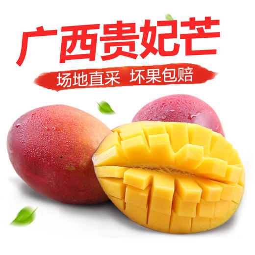 广西贵妃芒果（新鲜直采） 商品图4