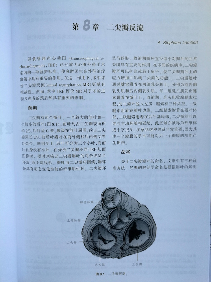 经食管超声心动图实用技术