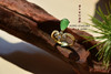 “中毒”太深，求“解药” 商品缩略图1