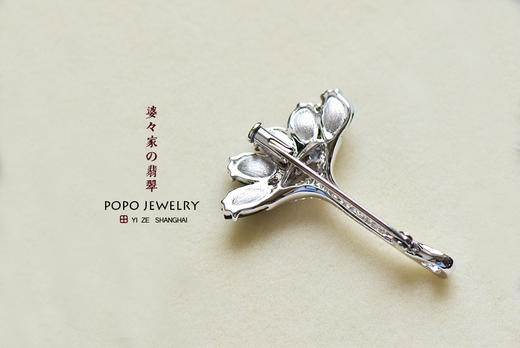 一枝貌美如花的多肉植物 商品图4