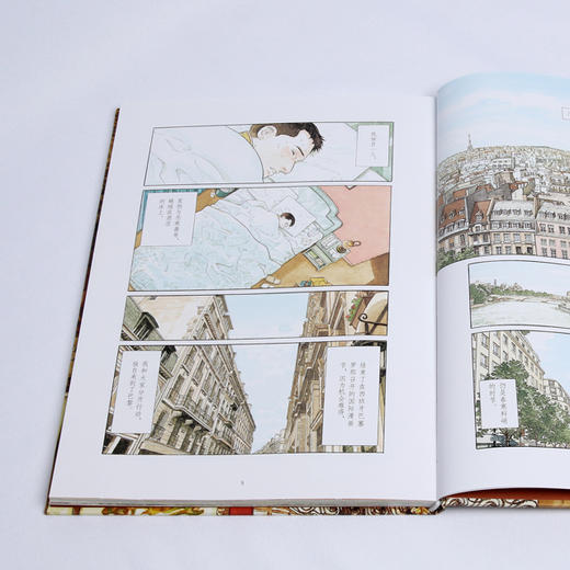 卢浮宫的守护者 商品图3