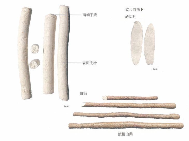 营养学家范志红老师曾经在她的文章中说过,山药淀粉平均粒径小,相对表