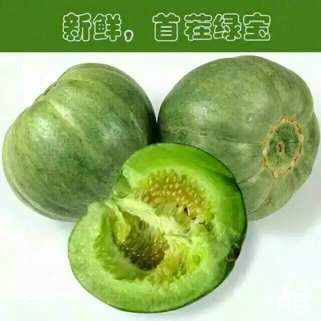 绿宝甜瓜