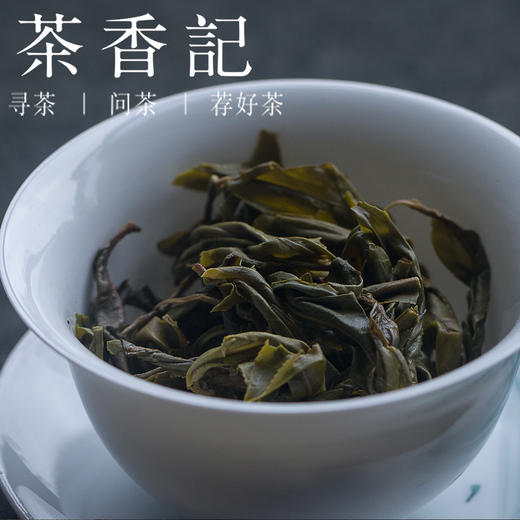 茶香记 大户赛古树春尖 普洱茶生茶2017年 茶气凛冽 大叶茶 耐泡 商品图3