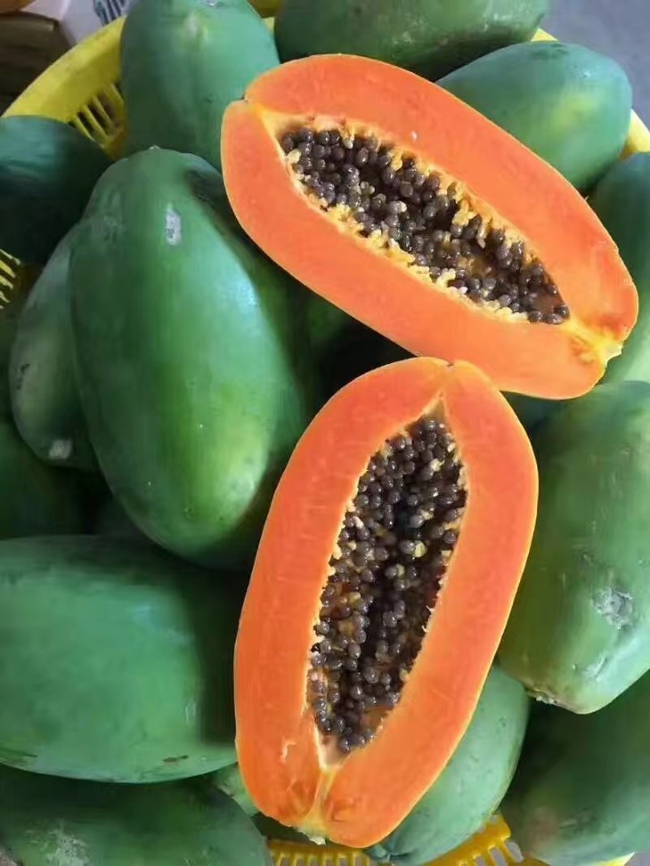 ľϡȴˮ,ɲӪ,Ƣʳ,ά
