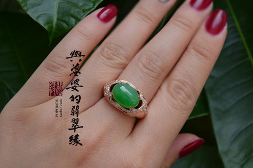 逍遥游 商品图5