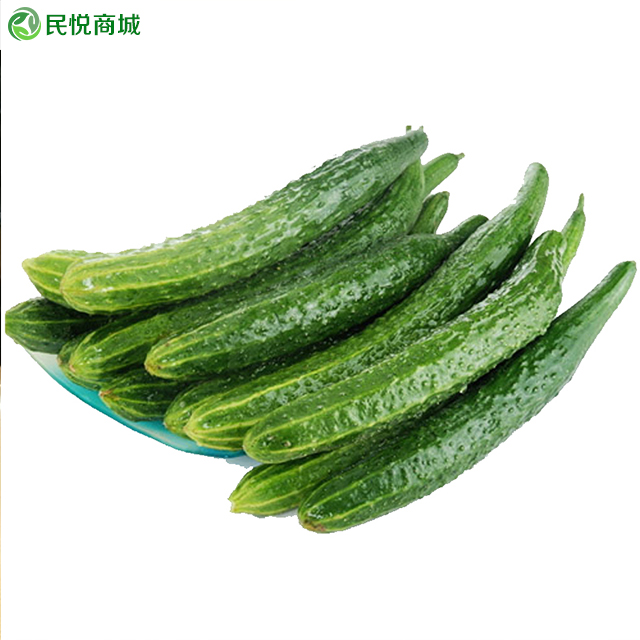 【民乐商场 青黄瓜 500g
