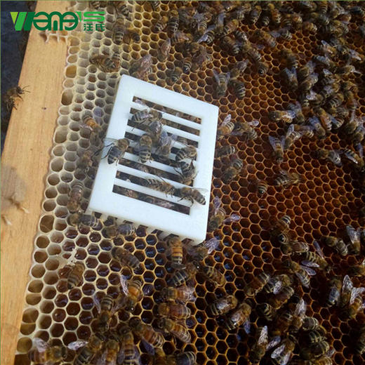 【正品保证】汪氏新型王笼塑料针扎式囚王笼蜜蜂针式塑料王笼蜜蜂蜂王笼 商品图3