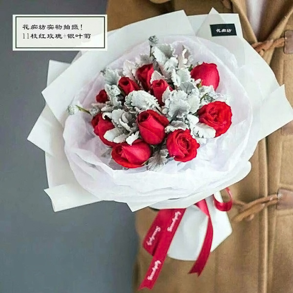 十一枝红玫瑰 银叶菊【守护】