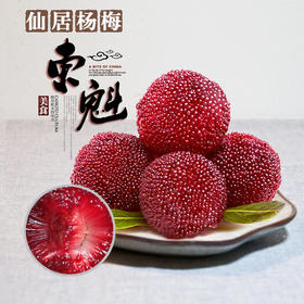 （永久下架）农场- 东魁杨梅三斤装